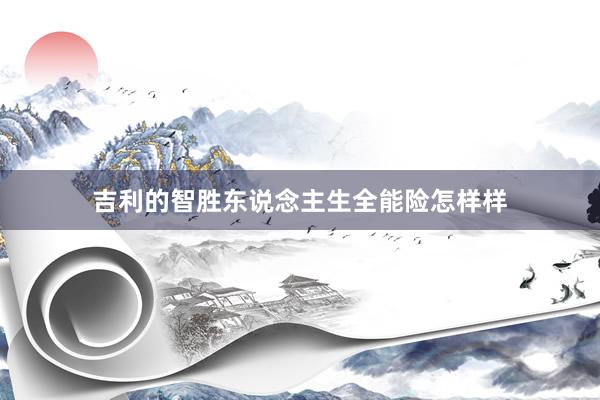 吉利的智胜东说念主生全能险怎样样